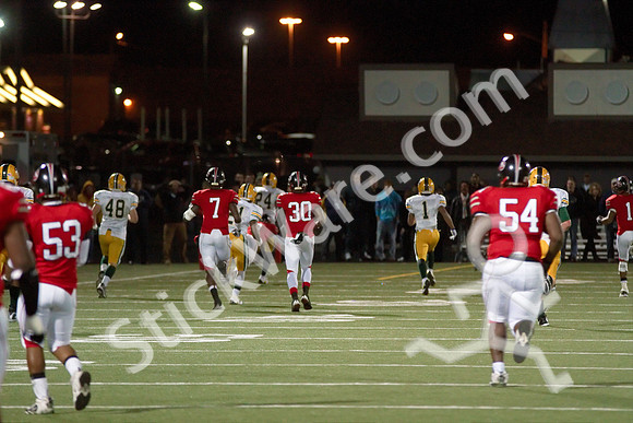 20101113_12853