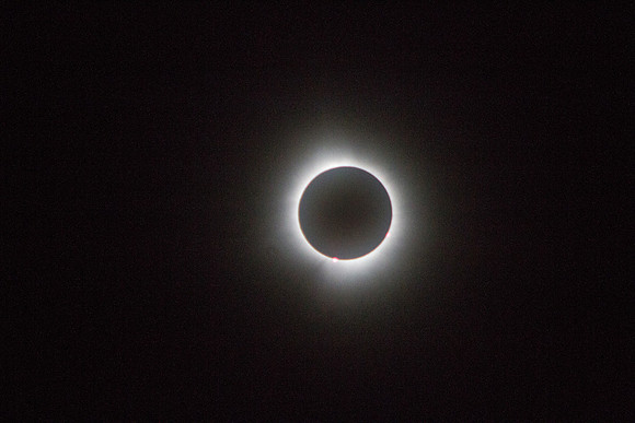 20240408_0331