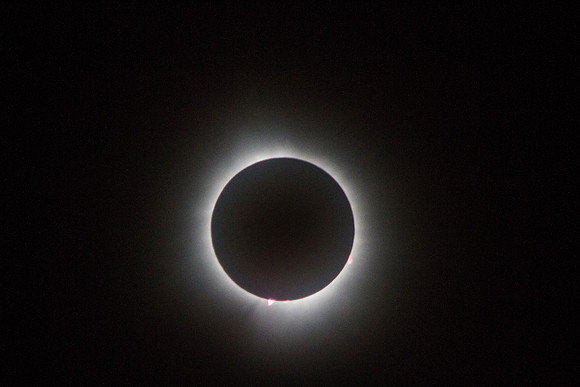 20240408_0369